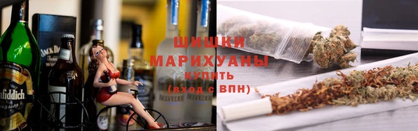 дурь Алексин
