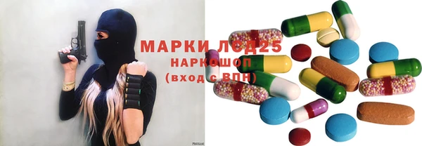 хмурый Алзамай