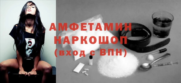 хмурый Алзамай