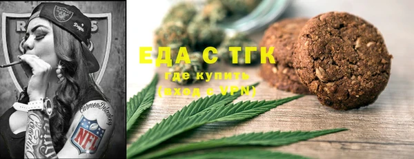 хмурый Алзамай