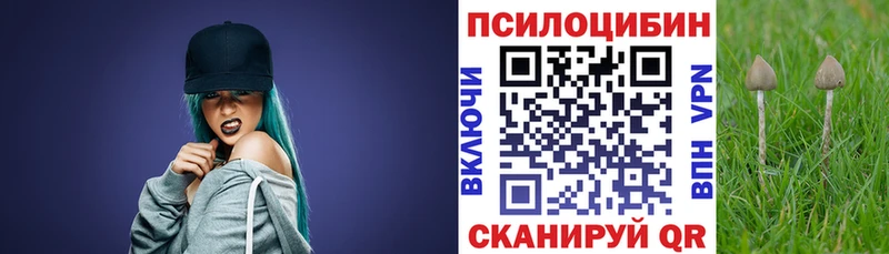 kraken ONION  Курганинск  Псилоцибиновые грибы Psilocybine cubensis 